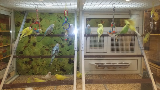 Pet Supply Store «PetSmart», reviews and photos, 6675 S Virginia St, Reno, NV 89511, USA