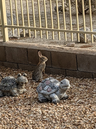 Country Club «Mission Lakes Country Club», reviews and photos