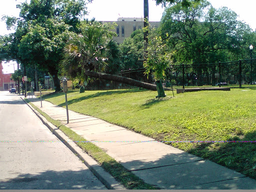 Park «Madison Square Park», reviews and photos, 400 Lexington Ave, San Antonio, TX 78215, USA