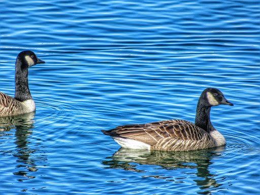 Library «John F. Kennedy Presidential Library and Museum», reviews and photos, Columbia Point, Boston, MA 02125, USA