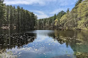 Harold Parker State Forest image