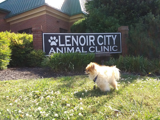 Lenoir City Animal Clinic image