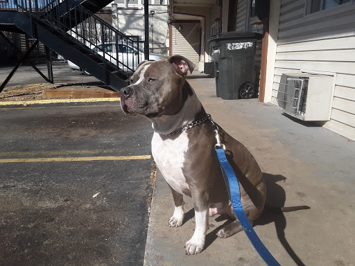 Pet Supply Store «Petco Animal Supplies», reviews and photos, 8404 Eager Rd b, Brentwood, MO 63144, USA