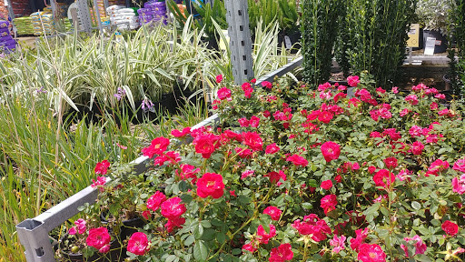 Home Improvement Store «The Home Depot», reviews and photos, 1651 S Poinciana Blvd, Kissimmee, FL 34758, USA