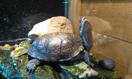 Zoo «Red River Zoo», reviews and photos, 4255 23rd Ave S, Fargo, ND 58104, USA