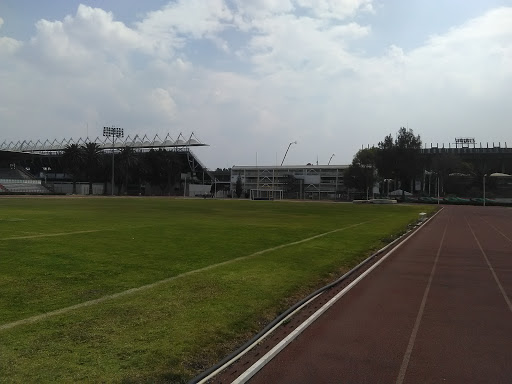 Estadio Jesús Martínez “Palillo”