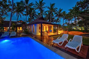 Maui Palms image