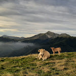 Photo n° 1 de l'avis de Erin. fait le 16/09/2022 à 12:58 pour Aire Naturelle De Camping D'Iraty à Larrau