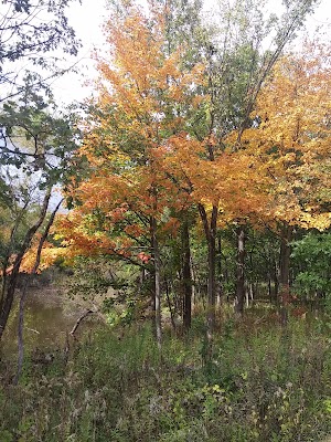 Hickory Creek Preserve - photo 76
