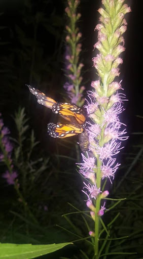 Nature Preserve «Indian Creek Nature Center», reviews and photos, 5300 Otis Rd, Cedar Rapids, IA 52403, USA