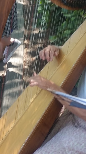 Outdoor Sports Store «Mountain Sports», reviews and photos, 176 E 3rd St, Chico, CA 95928, USA