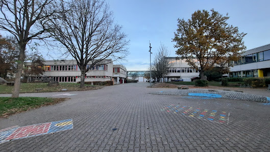 Karl-Trunzer-Gemeinschaftsschule im Schulzentrum Buchen Dr.-Fritz-Schmitt-Ring 1, 74722 Buchen, Deutschland
