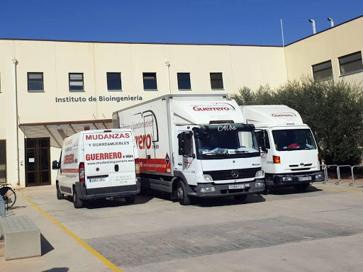 Mudanzas Guerrero – (Carrus)