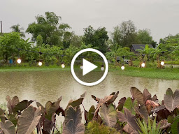 Por Pran • พอพราน