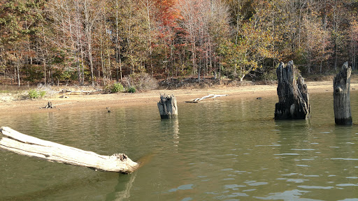 National Forest «Hoosier National Forest», reviews and photos, 811 Constitution Ave, Bedford, IN 47421, USA