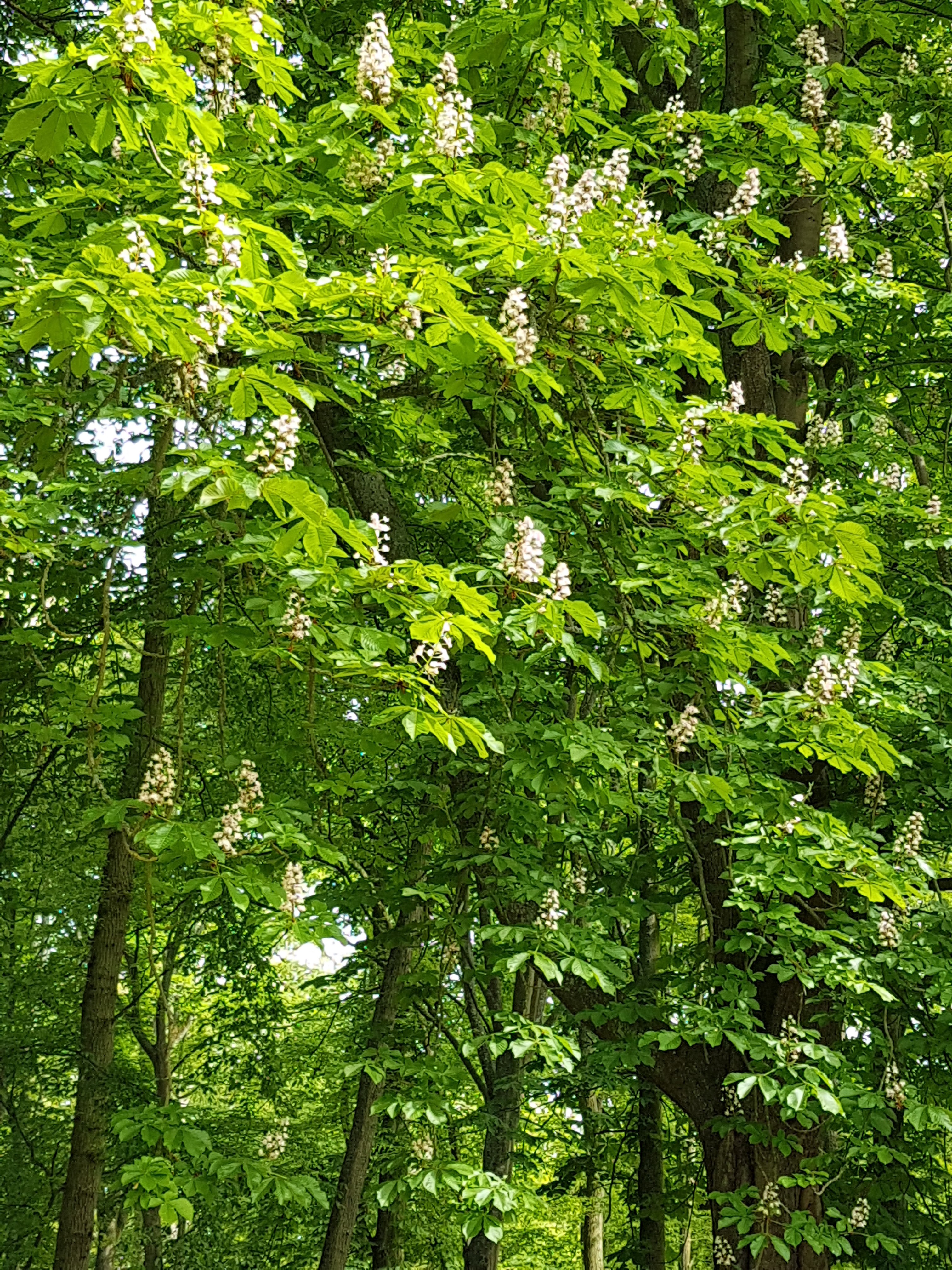 Photo n° 2 de l'avis de Maryse.l fait le 26/08/2019 à 11:46