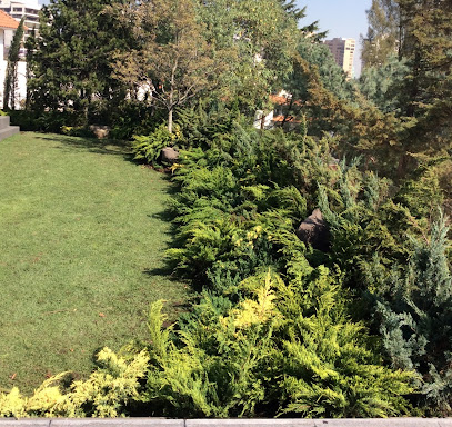 VIVERO PODA Y DERRIBO DE ARBOLES CENTRO DE JARDINERÍA CUAJIMALPA