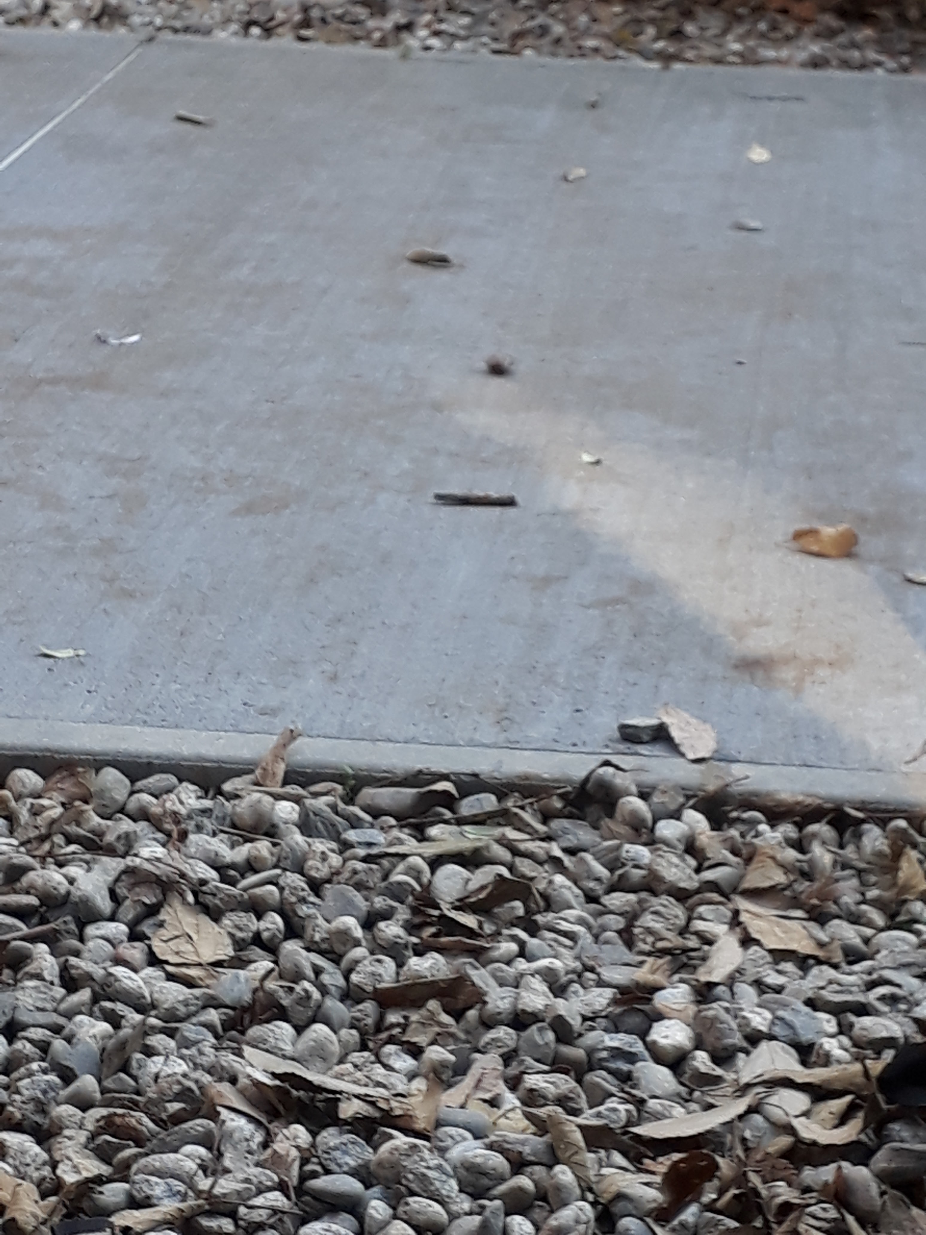 Photo n° 50 de l'avis de William.m fait le 11/12/2018 à 12:09
