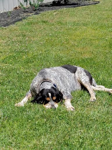 Art Museum «Wheels Through Time Transportation», reviews and photos, 62 Vintage Ln, Maggie Valley, NC 28751, USA