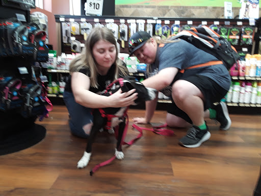 Pet Store «Pet Valu», reviews and photos, 644 E Main St, Waynesboro, PA 17268, USA