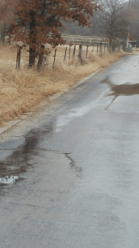 Golf Course «Sugar Tree Golf Club», reviews and photos, 251 Sugartree Dr, Lipan, TX 76462, USA