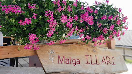 Malga ILLARI 32010, Via Cate, 32010 Chies d'Alpago BL, Italia