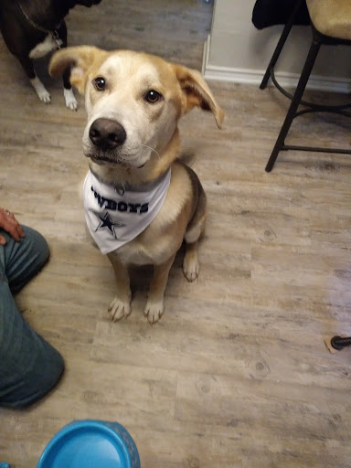 Pet Supply Store «PetSmart», reviews and photos, 2901 Texas Sage Trail, Fort Worth, TX 76177, USA