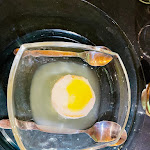 Photo n°3 de l'avis de allynna1. fait le 01/04/2022 à 19:56 sur le  Osteria La Carabaccia à La Spezia