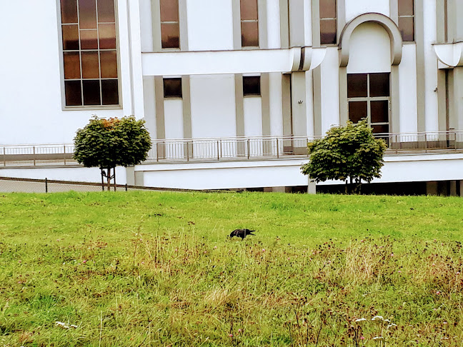 Komentarze i opinie o Dom Zakonny Salwatorianów