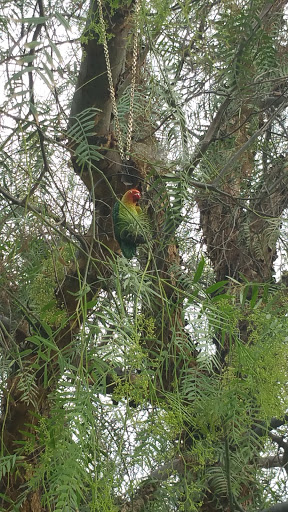 Funeral Home «Montecito Memorial Park and Mortuary», reviews and photos, 3520 E Washington St, Loma Linda, CA 92354, USA