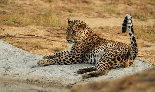 Park «Valley Water Mill Park», reviews and photos, 2450 E Valley Water Mill Rd, Springfield, MO 65803, USA