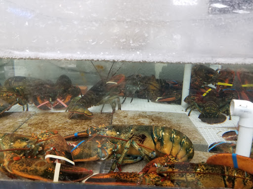 Grocery Store «Island Pacific Supermarket», reviews and photos, 11481 South St, Cerritos, CA 90703, USA