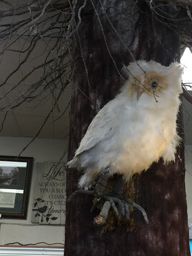 Florist «Gallatin Flower & Gift Shoppe», reviews and photos, 213 W Main St, Gallatin, TN 37066, USA