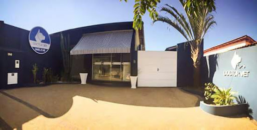 Doctor Vet Clínica Veterinaria em Limeira - SP