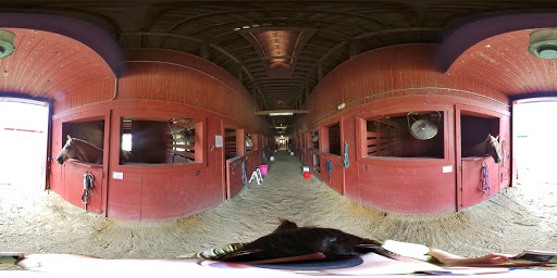 Tyrrell Park Stables image 3
