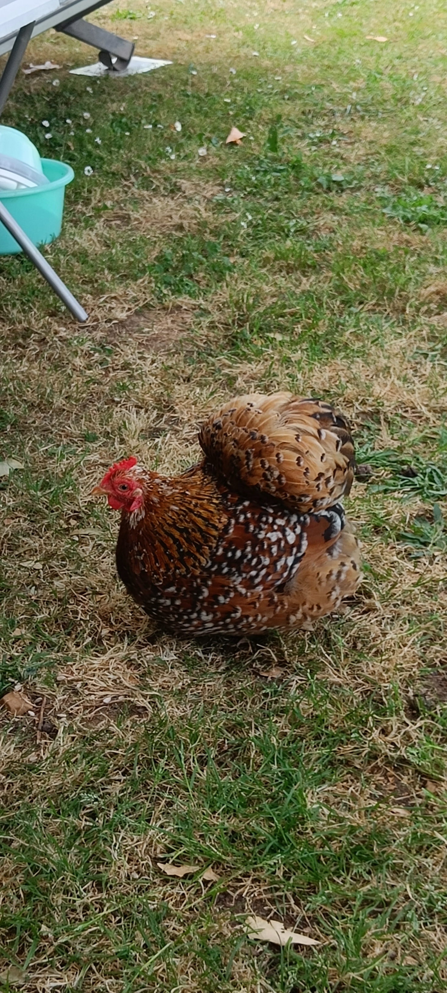 Photo n° 7 de l'avis de Ross.a fait le 15/06/2023 à 16:59