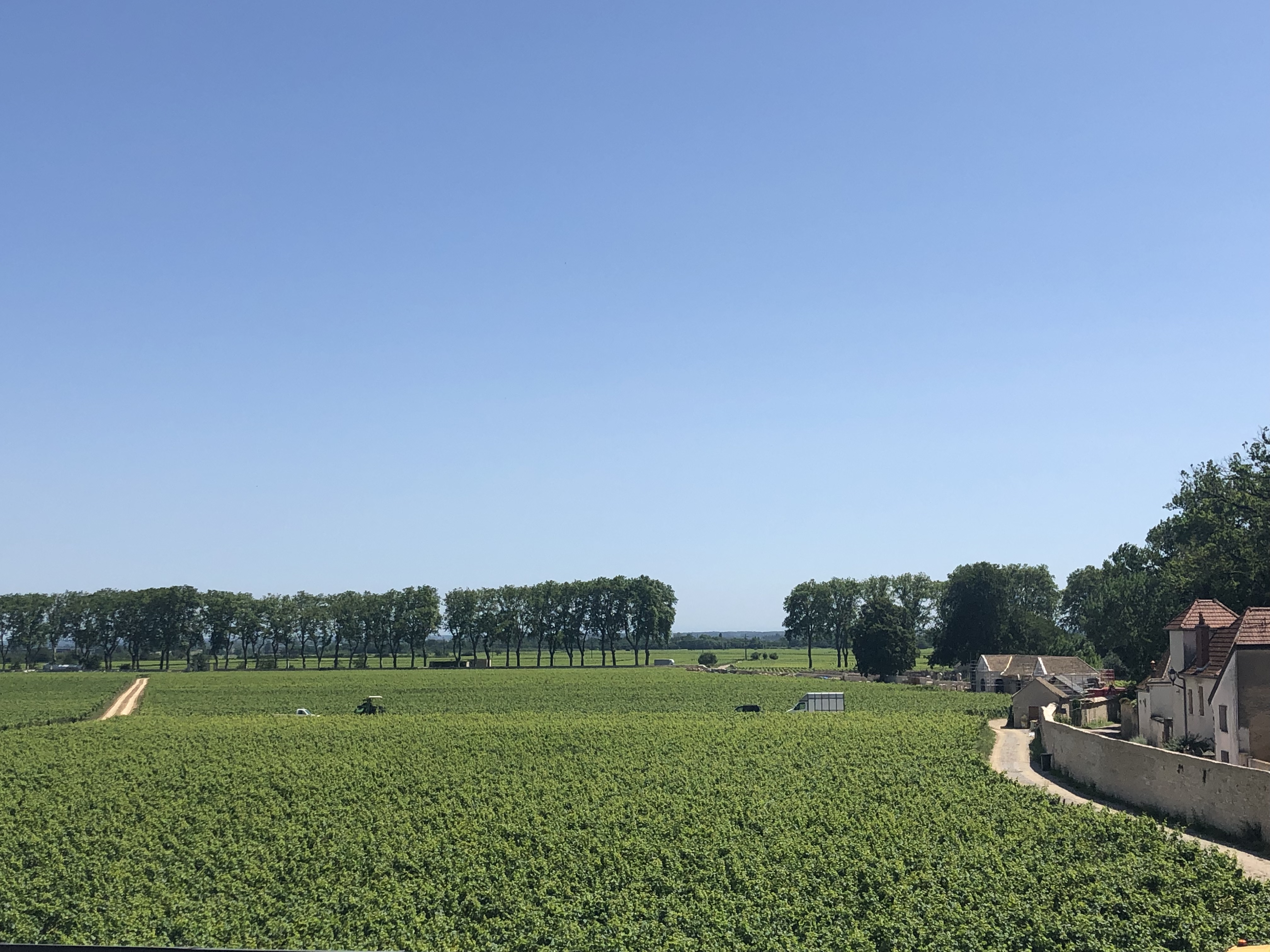 Photo n° 3 de l'avis de M.d fait le 18/07/2021 à 16:31