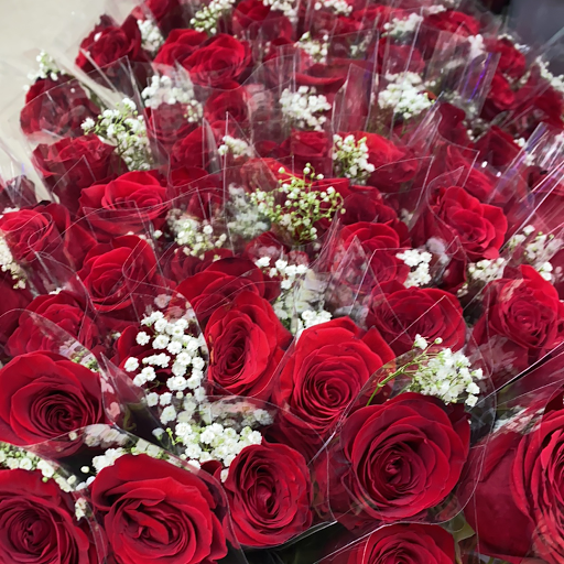 Dollar Store «Super Dollar Store», reviews and photos, 6835 Michigan Ave, Detroit, MI 48210, USA