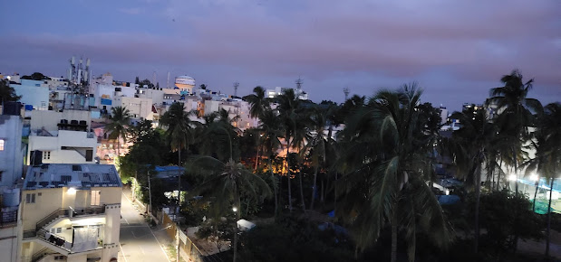 Google Maps image 11