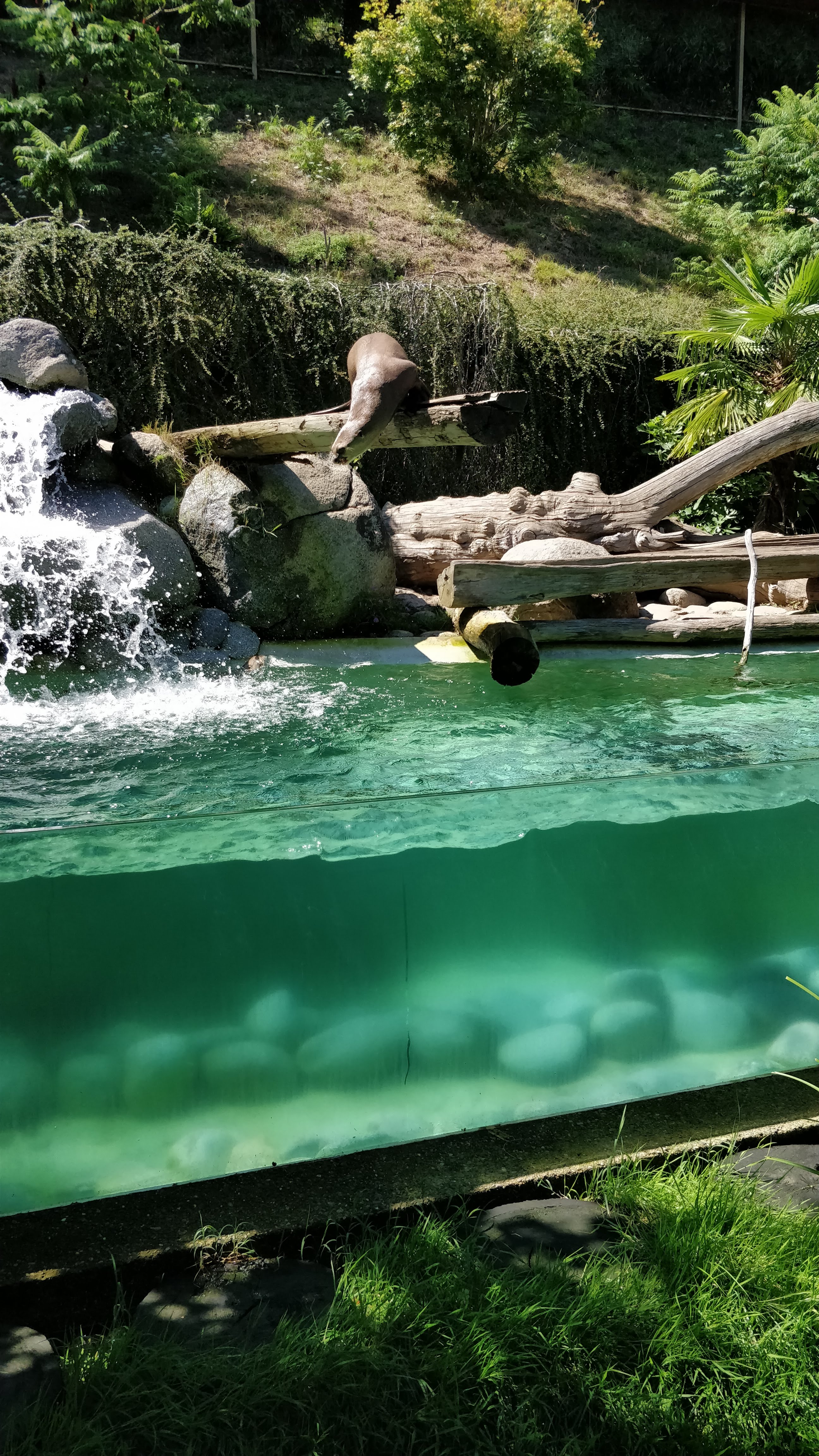 Photo n° 3 de l'avis de Nicolas.o fait le 15/08/2018 à 16:56