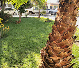 Electricistas Garden photo