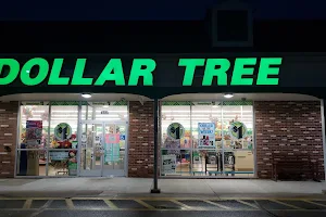 Dollar Tree image