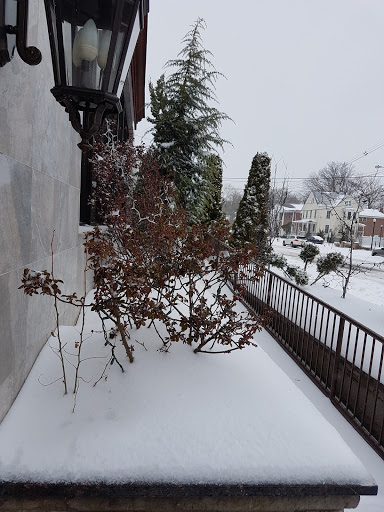 Banquet Hall «Sphinx Banquet & Catering Center», reviews and photos, 121 E 2nd Ave, Roselle, NJ 07203, USA