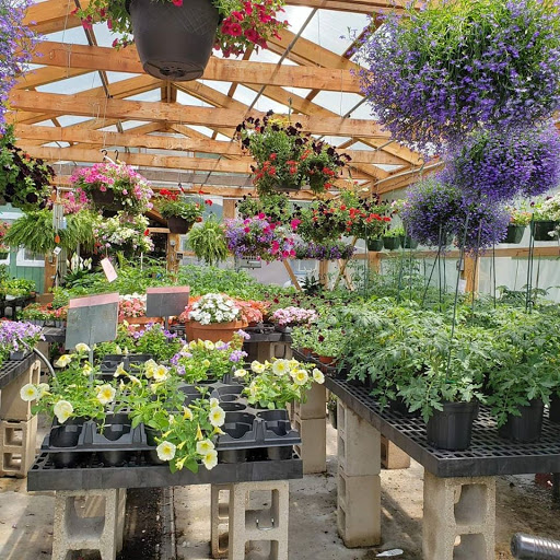 Florist «Petals & Paws», reviews and photos, 465 Albany Turnpike, Canton, CT 06019, USA