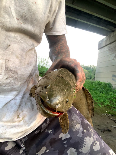 Movie Theater «Regal Cinemas Massillon 12», reviews and photos, 175 Cherry Rd NW, Massillon, OH 44646, USA