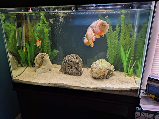 Pet Supply Store «Pet Supplies Plus», reviews and photos, 3100 Manchester Rd, Akron, OH 44319, USA