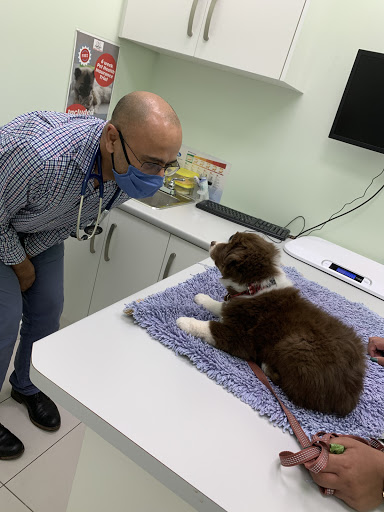 Tynehead Animal Hospital image