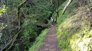 Big Canyon Park - photo 95