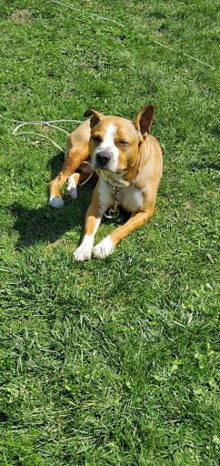 Campground «Blue Haven Campground», reviews and photos, 5253 US-11, Ellenburg Depot, NY 12935, USA