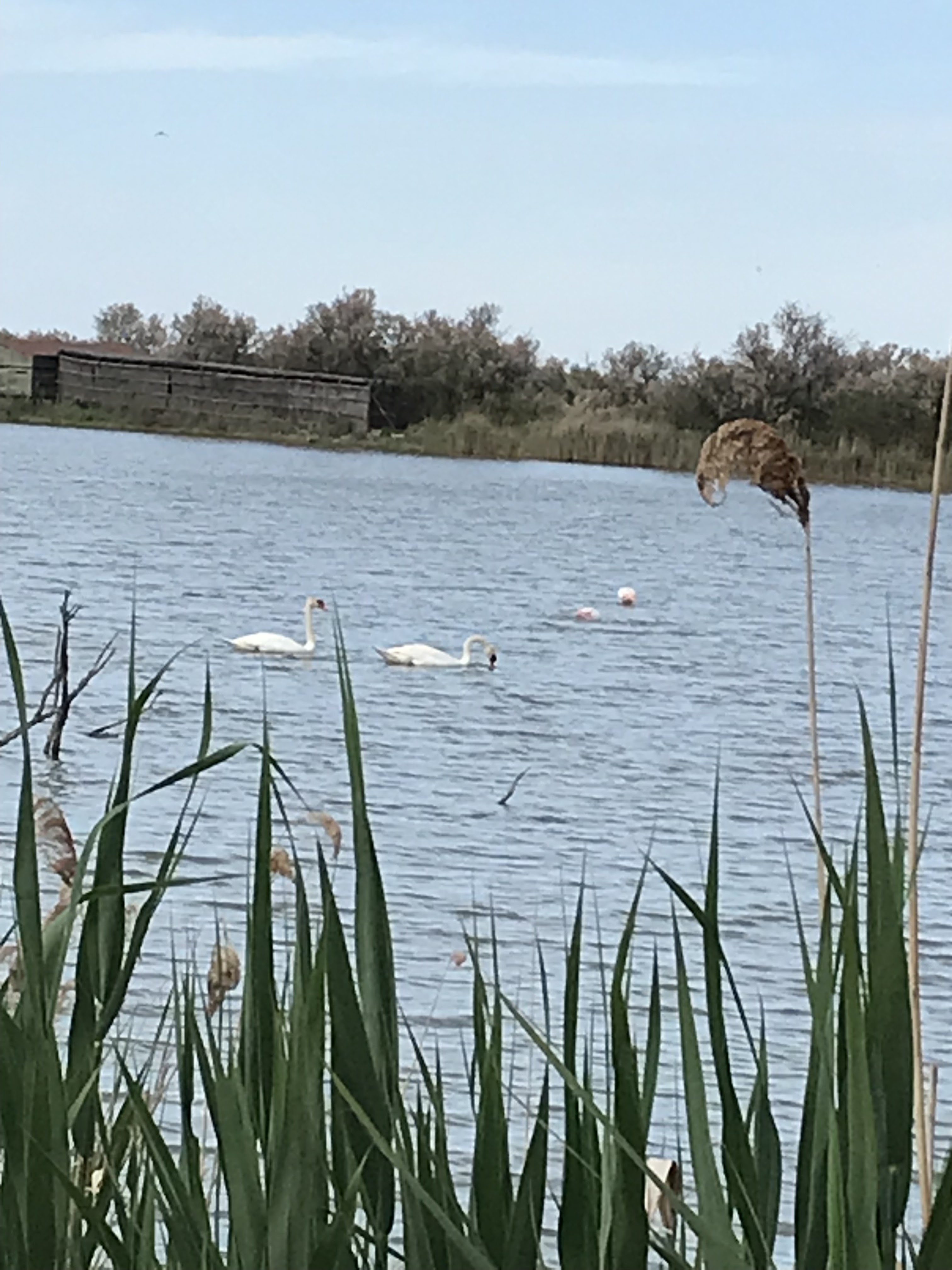 Photo n° 5 de l'avis de Les.t fait le 25/04/2023 à 20:41